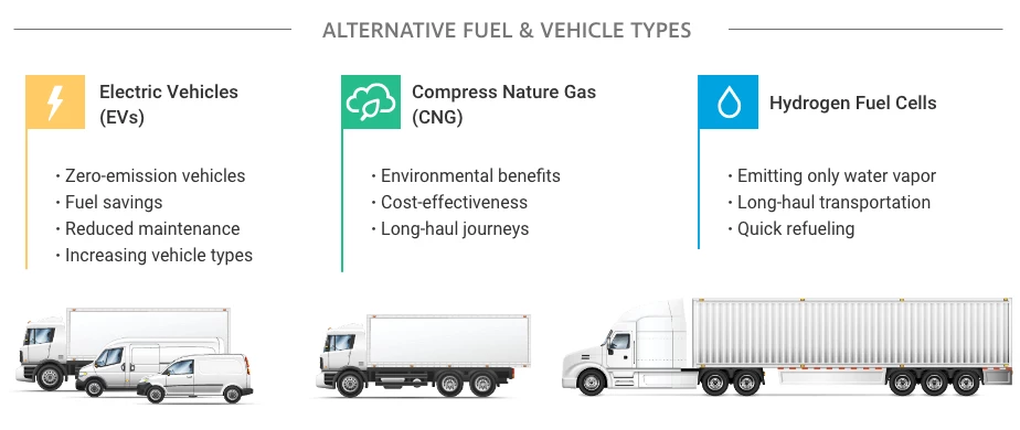 EV and Fuel Type NZ