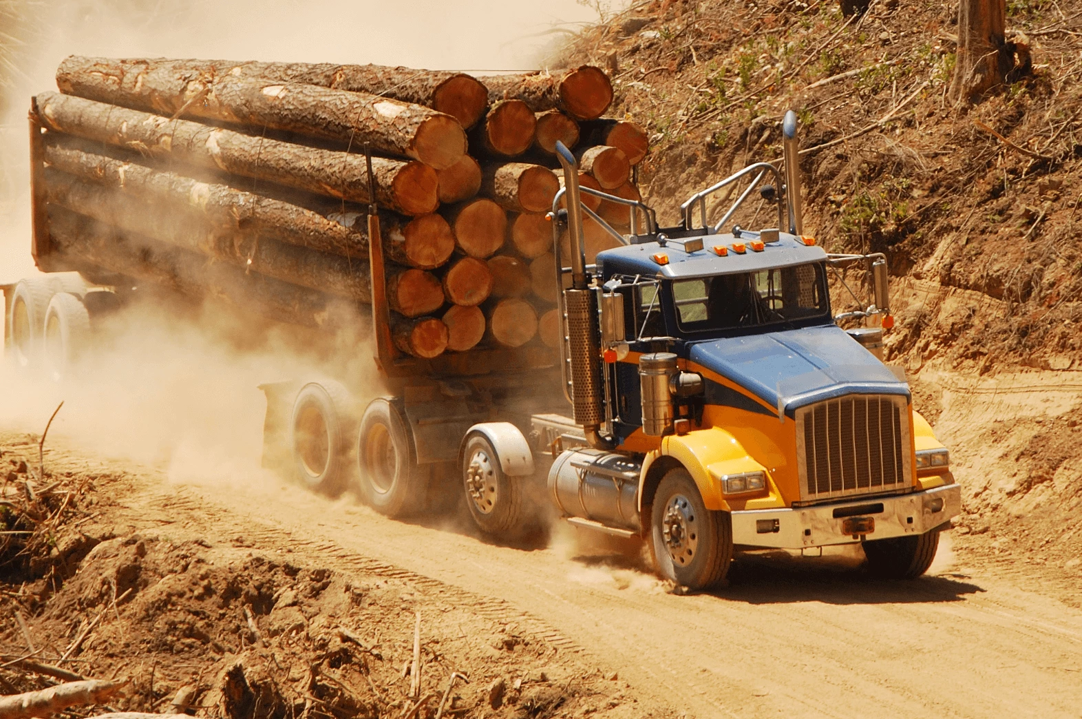 Logging%20Truck%20